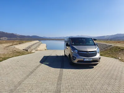 Struś Pędziwiatr "Mig Mig" transport osób